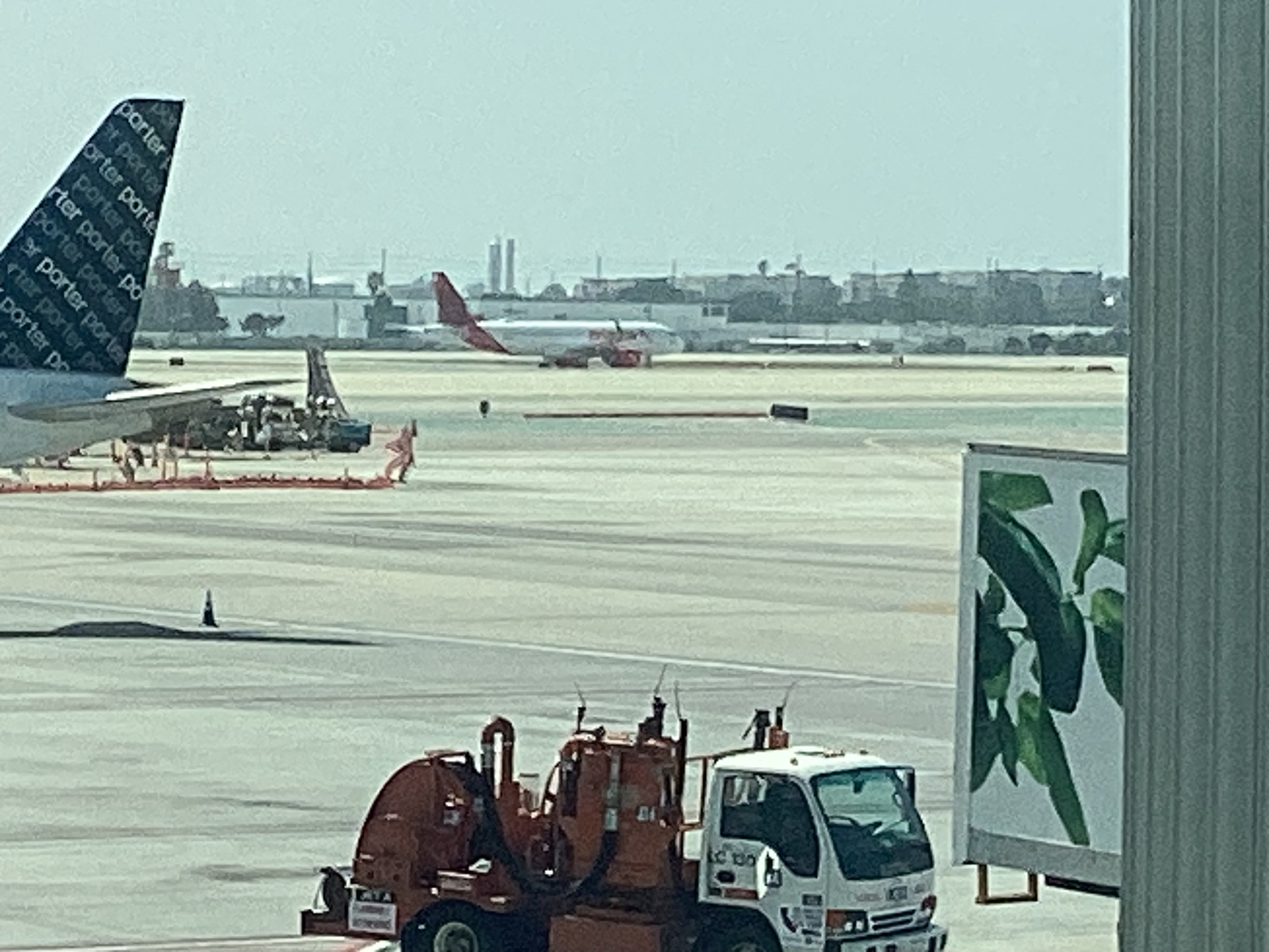 Avianca